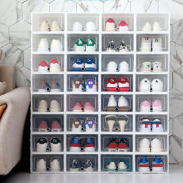 Shoe Storage Box